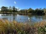 Images for Lake Mews, Waters Edge, Surrey