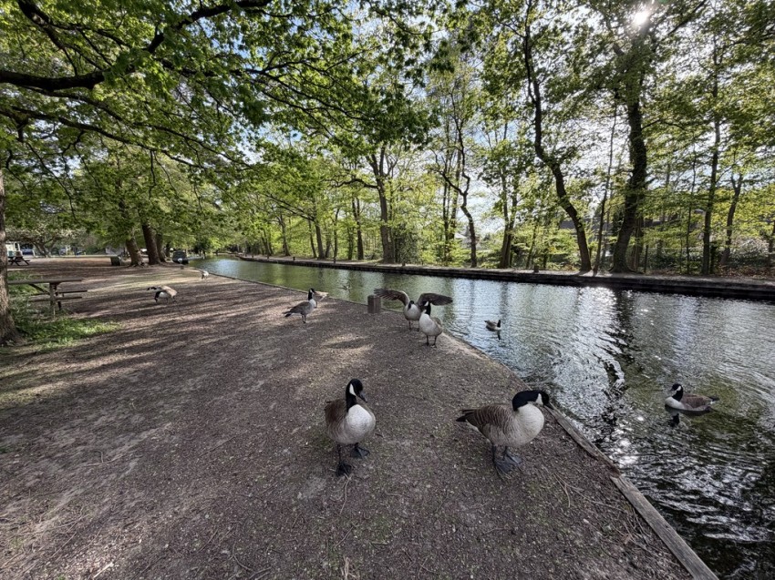 Images for Mytchett Heath, Mytchett, Camberley